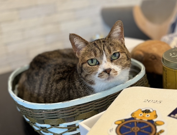 たらふくちゃん